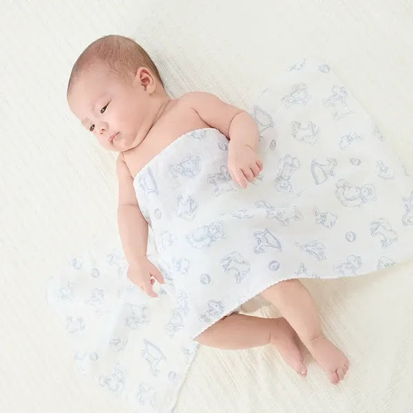 [現貨] 日本直送Combi Mini初生嬰兒100%純棉藍色熊仔洗澡紗巾 (兩件裝) - BB Dressup