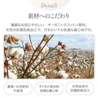[現貨] 日本製 itofumi 啡色有機棉波波針織初生嬰兒燈籠褲 (50cm) - BB Dressup